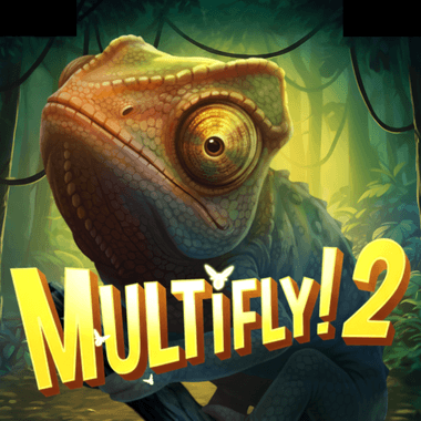Multifly! 2