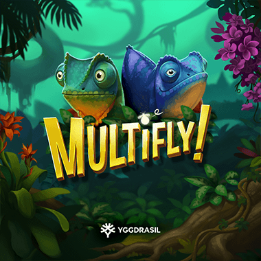 Multifly!
